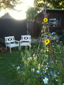 saving money in the garden