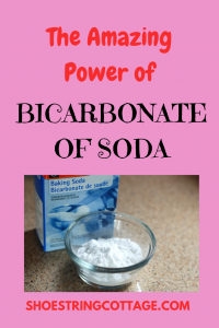 BICARBONATE OF SODA