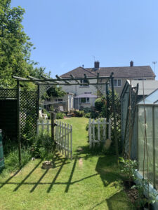 A garden with a blue sky