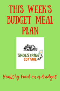 budget meal plan