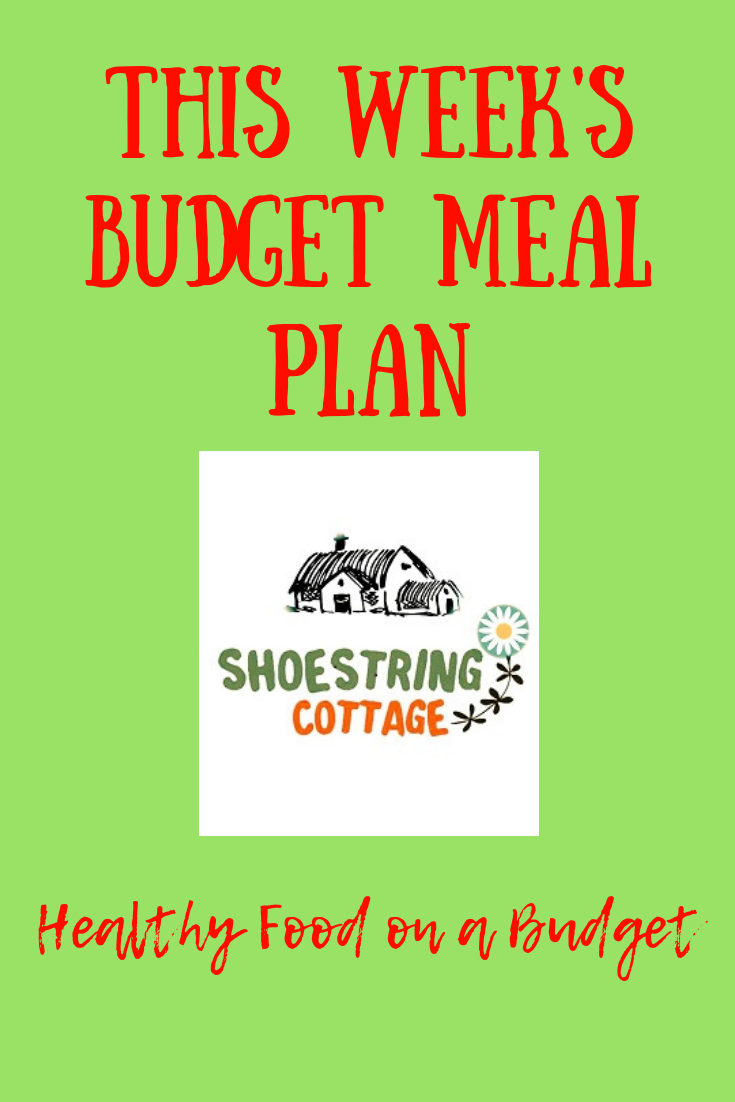 Slimming World on a budget