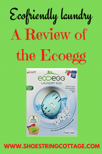 ECOEGG REVIEW
