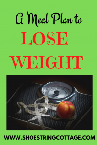 Meal plan to lose weight