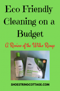 eco friendly cleaning on a budget