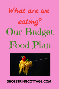frugal year