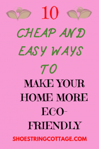 make your home more eco-friendly