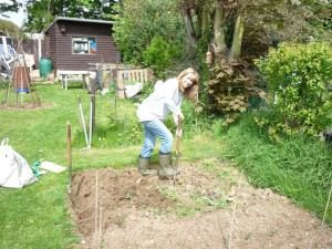 saving money in the garden