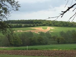 Essex serpent