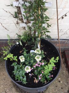reasons to be frugal