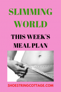 back to slimming world