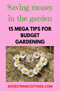 Saving money in the garden