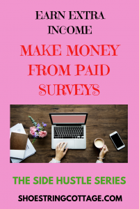 make money from paid surveys