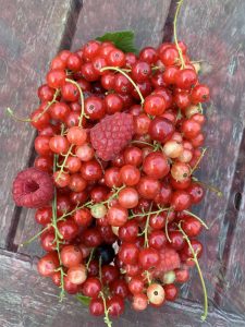 plastic free July