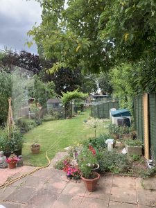 plastic free July