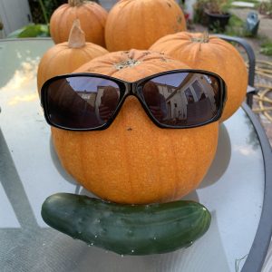 what does frugal living look like
