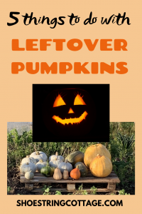 things to do with leftover pumpkins