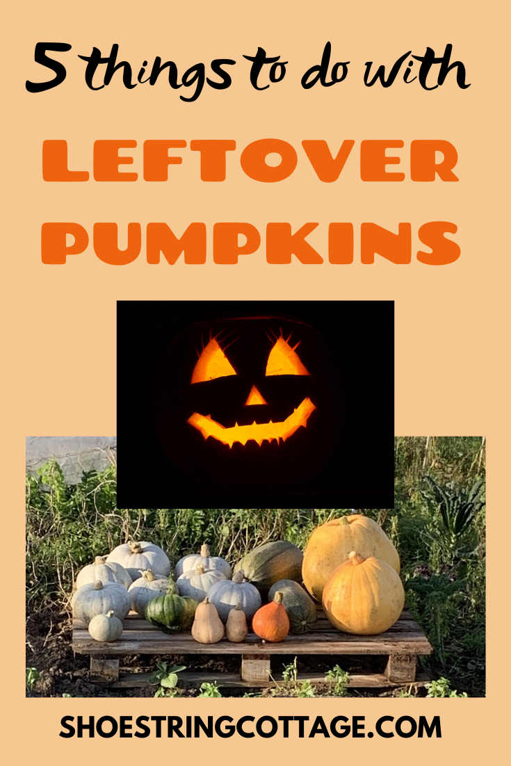 things to do with leftover pumpkins