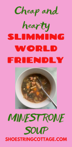 Slimming World minestrone