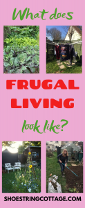 what does frugal living look like