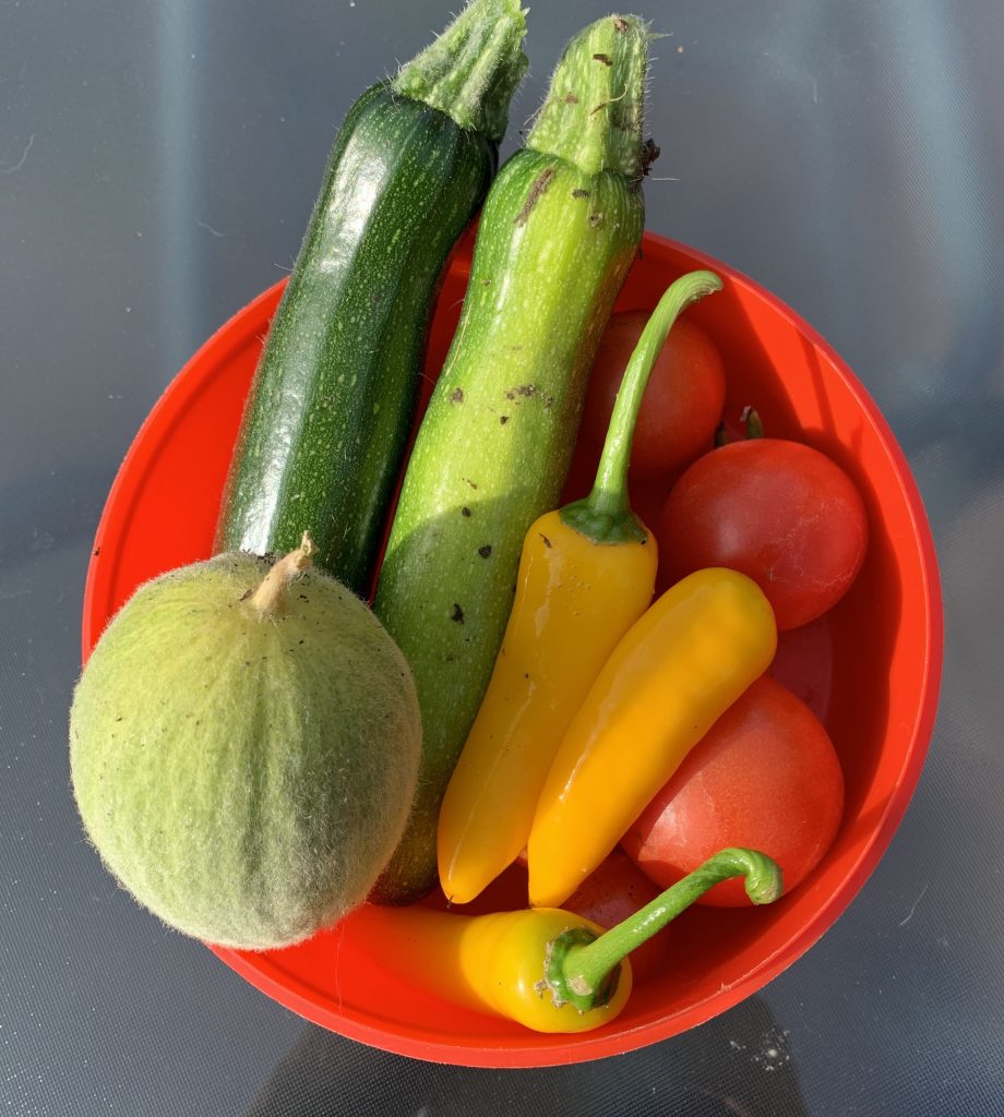 frugal friday