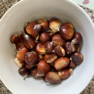 five frugal things at Shoestring Cottage