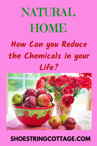 REDUCE THE CHEMICALS IN YOUR HOME