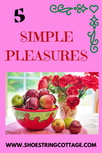 SIMPLE PLEASURES