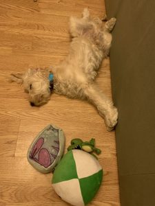 Frugal Friday round up