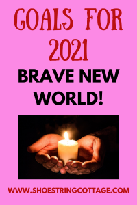 goals for 2021