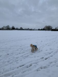 weekly round up