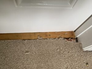 five frugal things