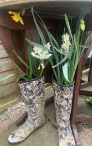 save money in the garden