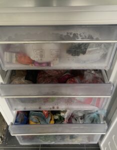 fun frugal
