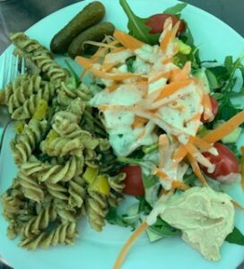 plant based meal plan