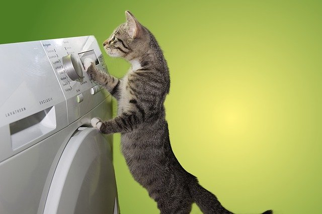 money saving tips to help the environment