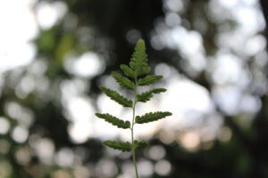 make your home more eco friendly