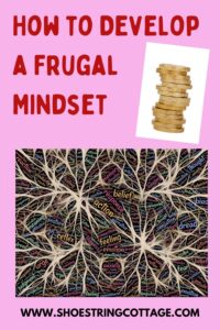 develop a frugal mindset
