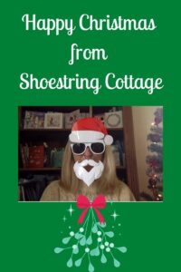 frugal christmas banner
