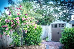 shed or garage surrounded by flowers