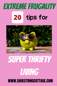BANNER HEADING SUPER THRIFTY LIVING