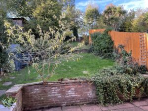The steep garden of our new home
