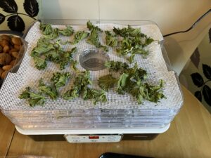 kale on a dehydrator