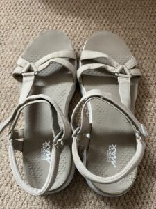 A pair of walking sandals