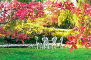 A beautiful garden plus table and chairs