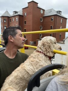 A dog looking over the edge of an open top bus