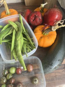 Some fresh home grown produce - runner beans, beetroot, courgettes and tomatoes. post-holiday catch-up