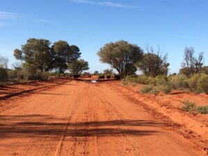 Red sand and a few trees in the Australian desert