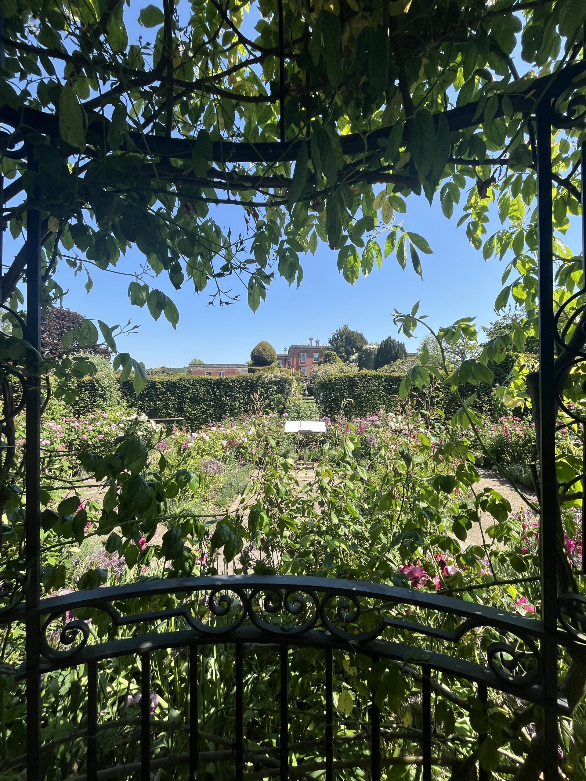 A beautiful garden framed by a wrought iron railing
