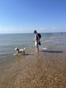 A man and a dog paddling in the sea