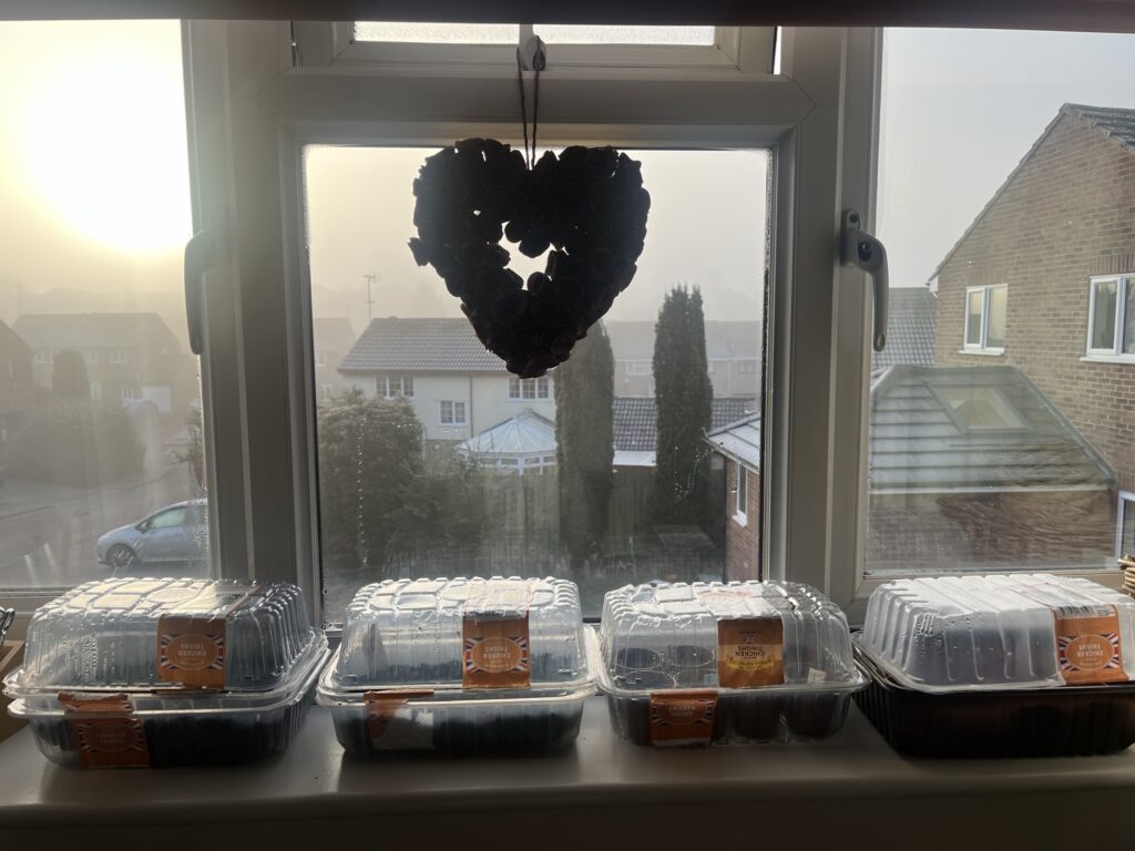 A window with a sill full of home made plastic propagators and a love heart decoration